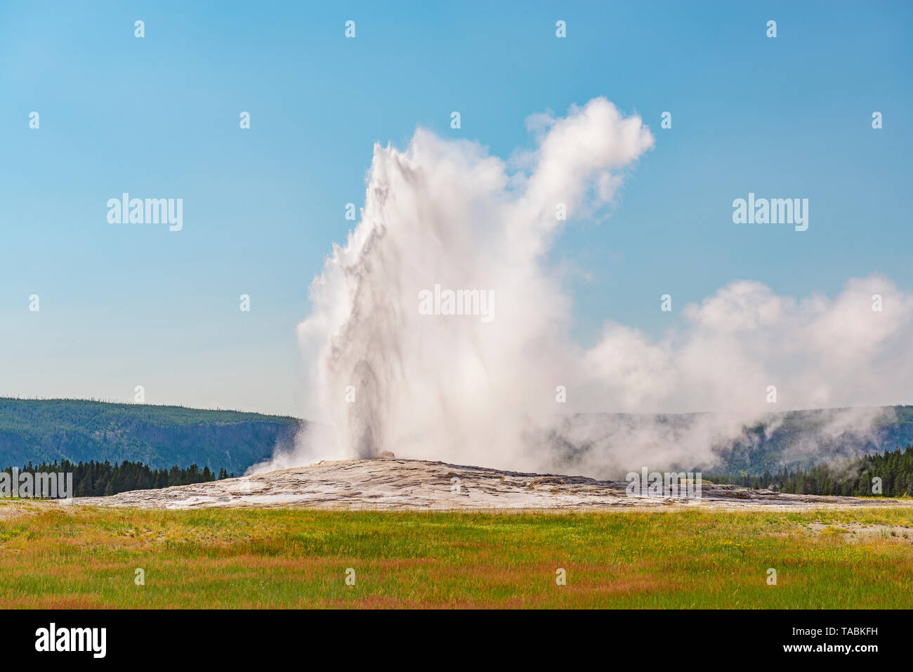 Il famoso geyser Old Faithful avente una eruzione su un luminoso giorno di estate, il Parco Nazionale di Yellowstone, Wyoming negli Stati Uniti. Foto Stock