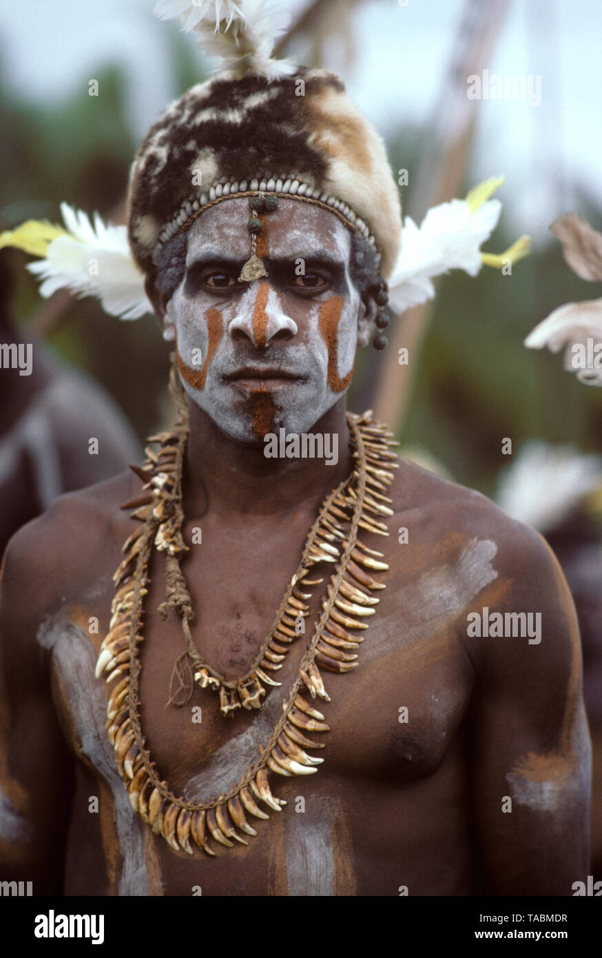 Asmat persone: gruppi etnici che vivono nella provincia di Papua di Indonesia, lungo il mare Arafura. Asmat l uomo dal villaggio di Agats (o Sjuru). Fotogr Foto Stock