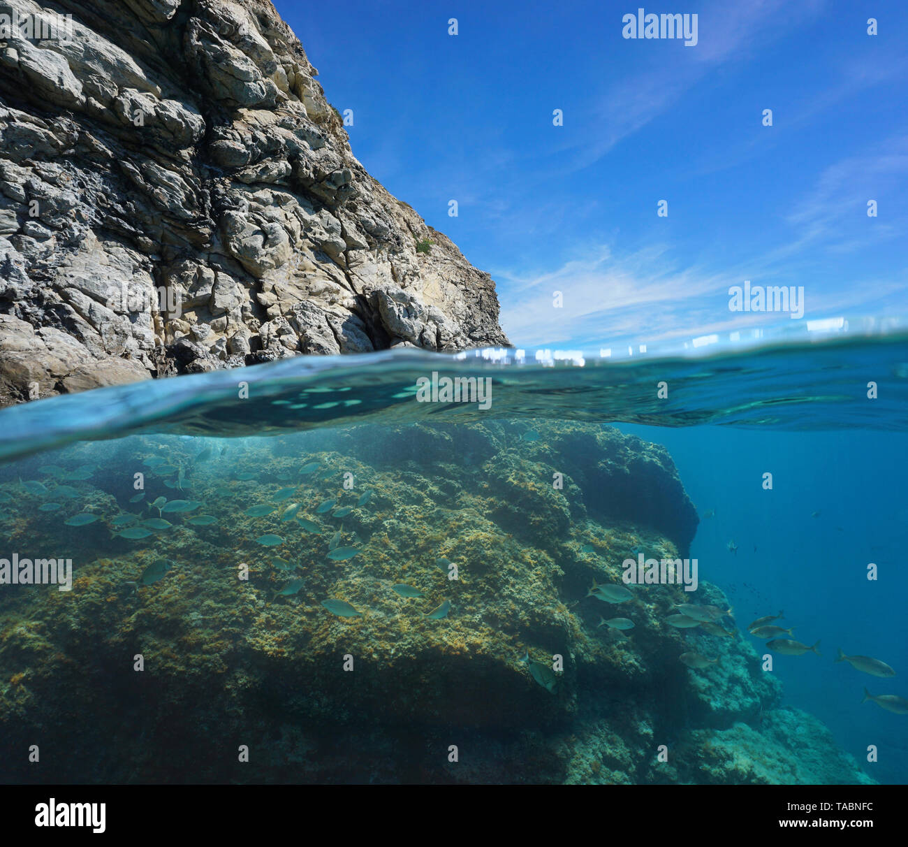 Costa rocciosa al di sopra e al di sotto della superficie dell'acqua con una secca di pesce, mare Mediterraneo, Francia Foto Stock