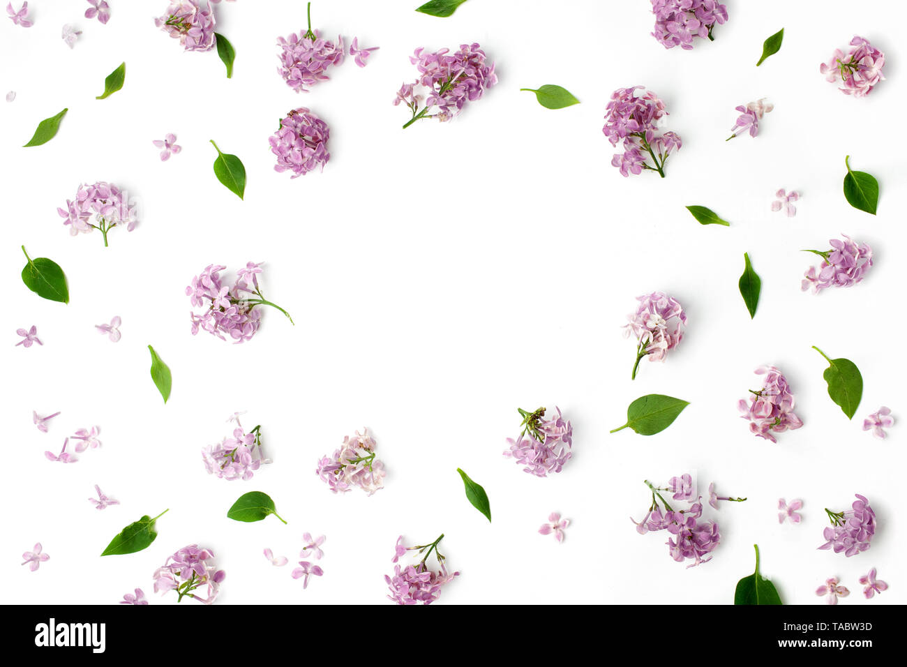 Telaio con foglie e petali di lilla su sfondo bianco. flat laico, vista aerea Foto Stock
