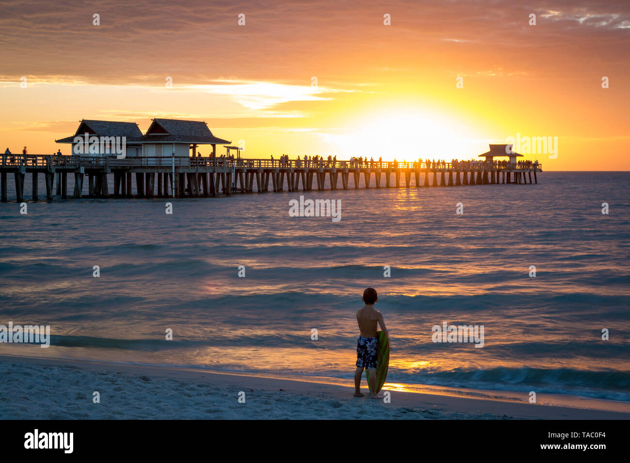 Giovani surfer e colorato tramonto sul molo, Naples, Florida, Stati Uniti d'America Foto Stock