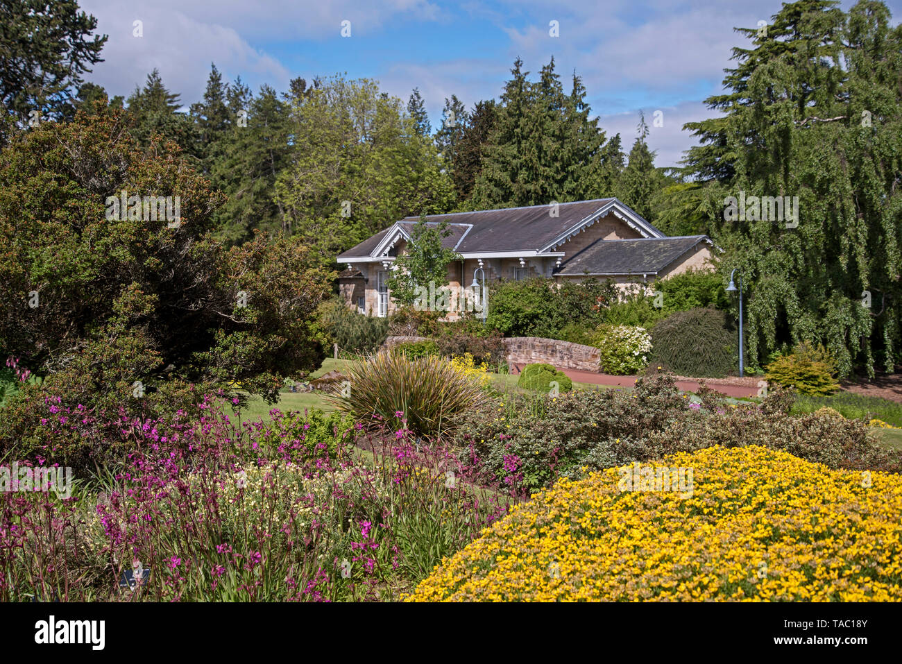 Giardino di roccia e di Caledonia Hall del Royal Botanic Garden Edinburgh (RBGE), Scotland, Regno Unito. Foto Stock