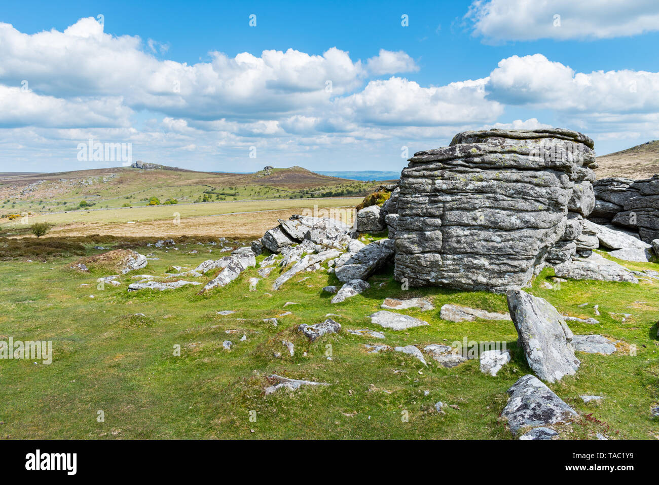 Vista ingrandita del granito affioramenti di roccia in alto a Tor, Parco Nazionale di Dartmoor, Devon, Regno Unito. Emsworthy rocce e sella sono Tor in background. Foto Stock