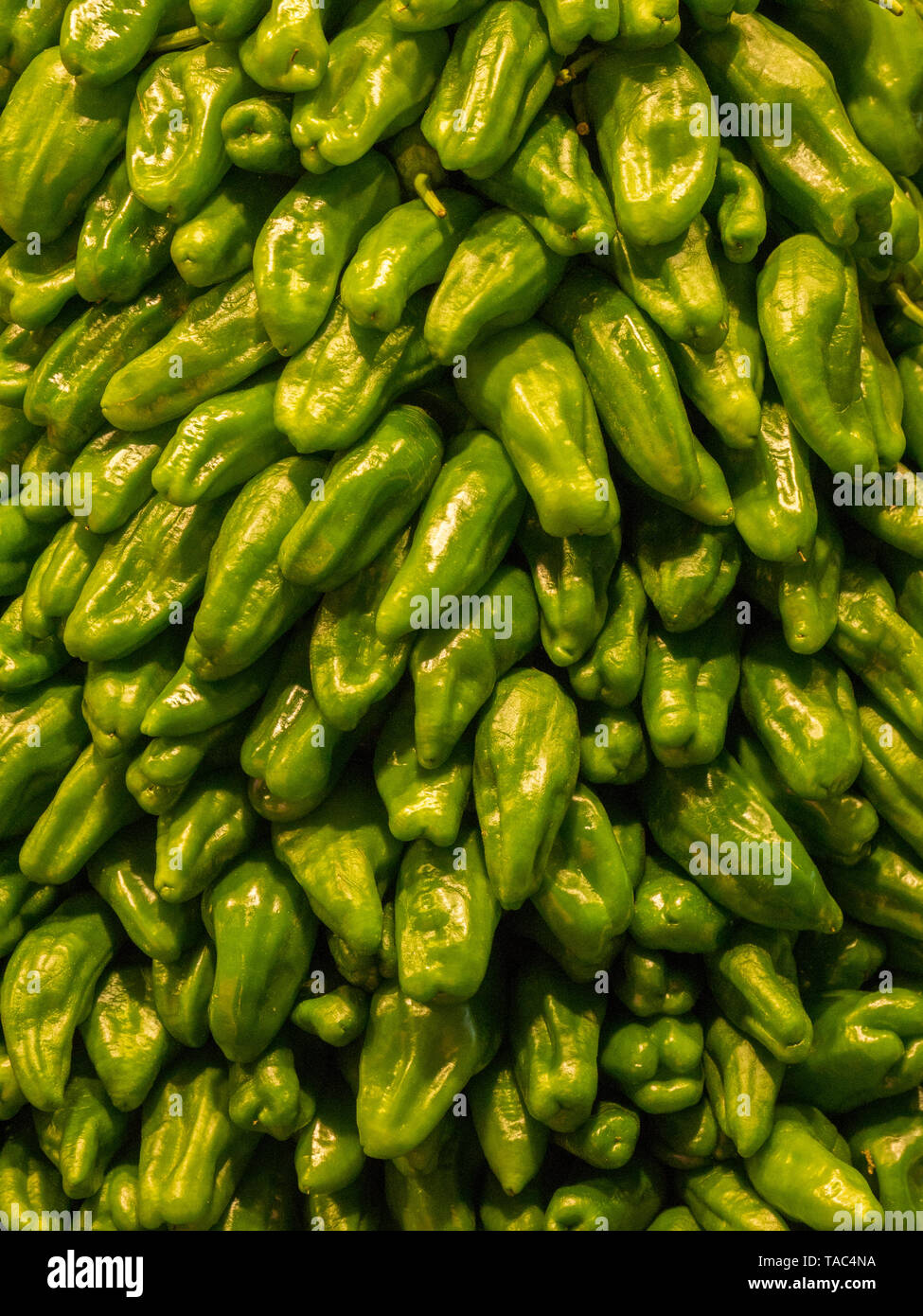 Piccolo peperone verde, closeup, full frame. Foto Stock