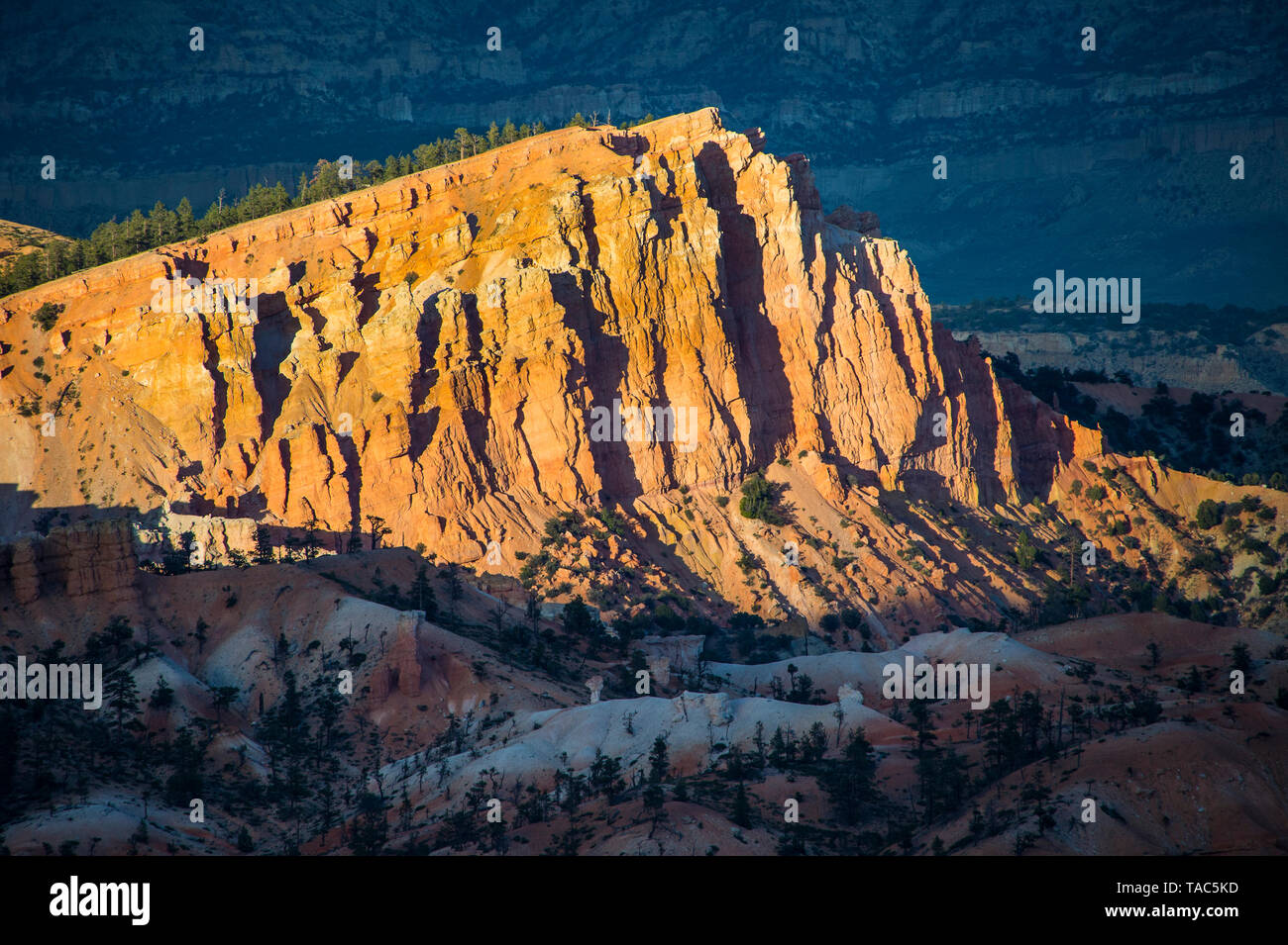 Stati Uniti d'America, Utah, Parco Nazionale di Bryce Canyon, formazioni di arenaria Foto Stock