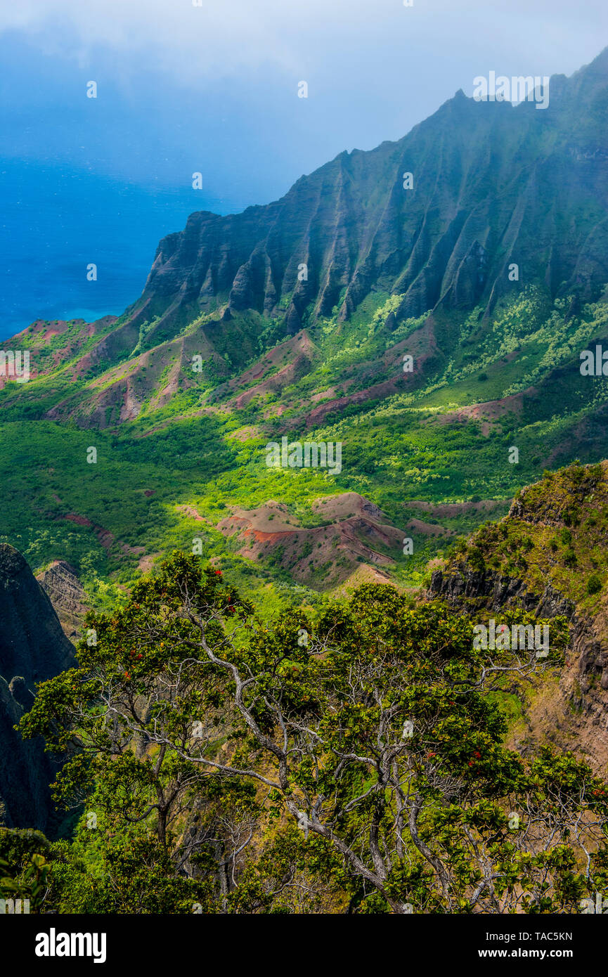 Stati Uniti d'America, Hawaii, Kalalau lookout sulla Costa Napali dal Kokee state park Foto Stock