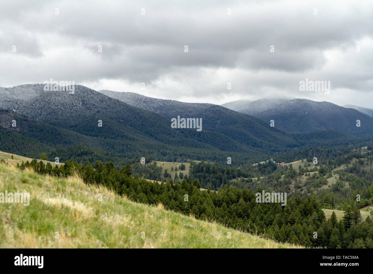 Montana paesaggio con una skiff di nuovo neve di primavera, Helena, Central Montana, Northern Rockies, STATI UNITI D'AMERICA Foto Stock