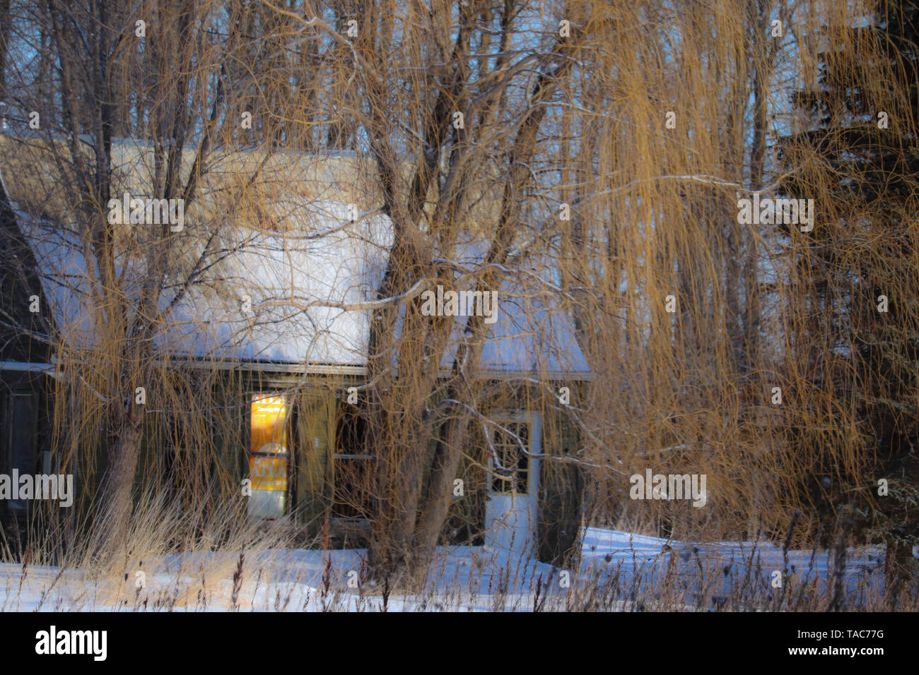 Graziosi cottage, Ontario. Foto Stock