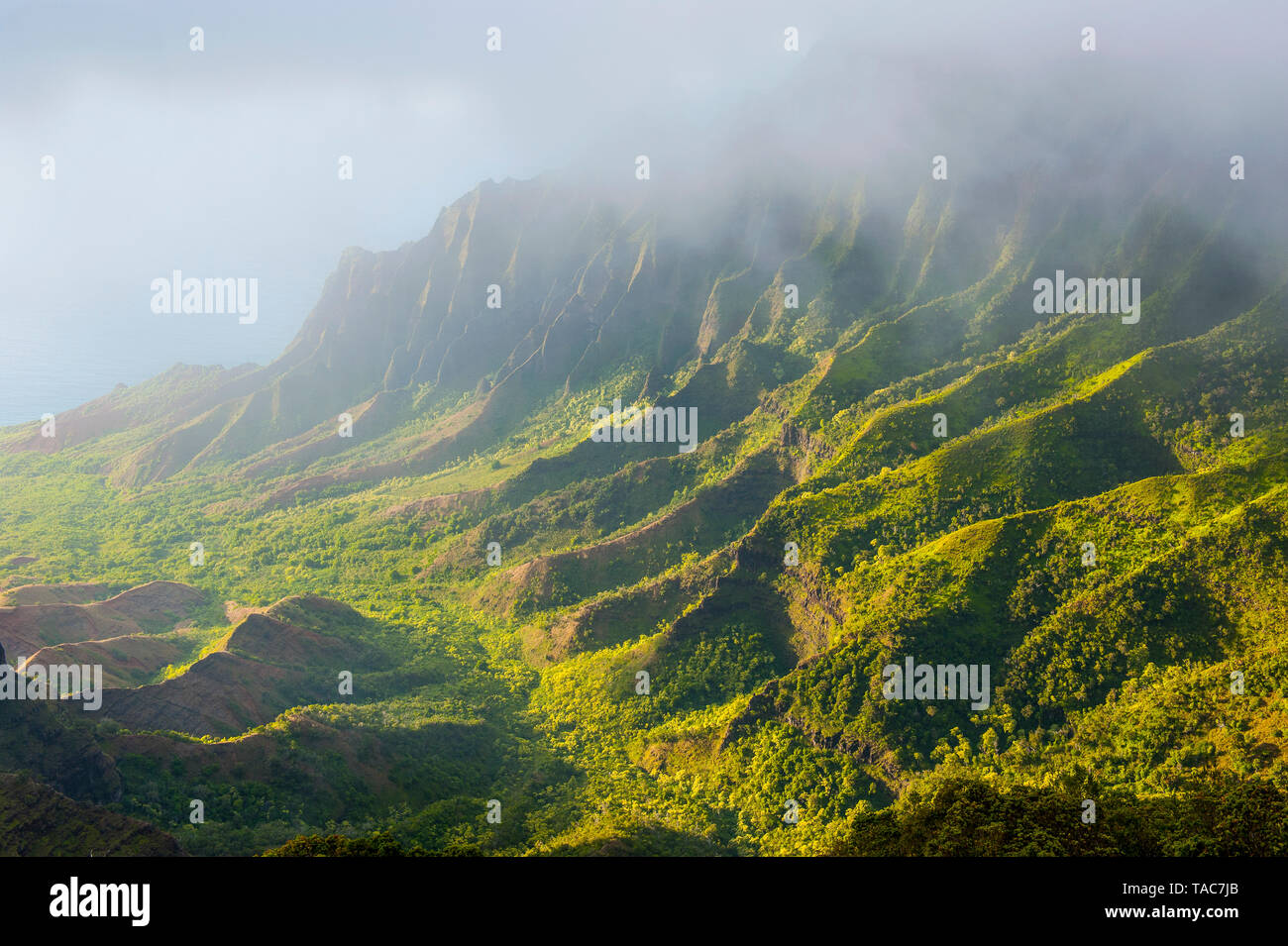 Stati Uniti d'America, Hawaii, Kalalau lookout sulla Costa Napali dal Kokee state park Foto Stock