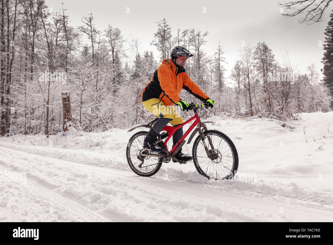 L'uomo equitazione mountain bike sul percorso nella foresta di inverno Foto Stock