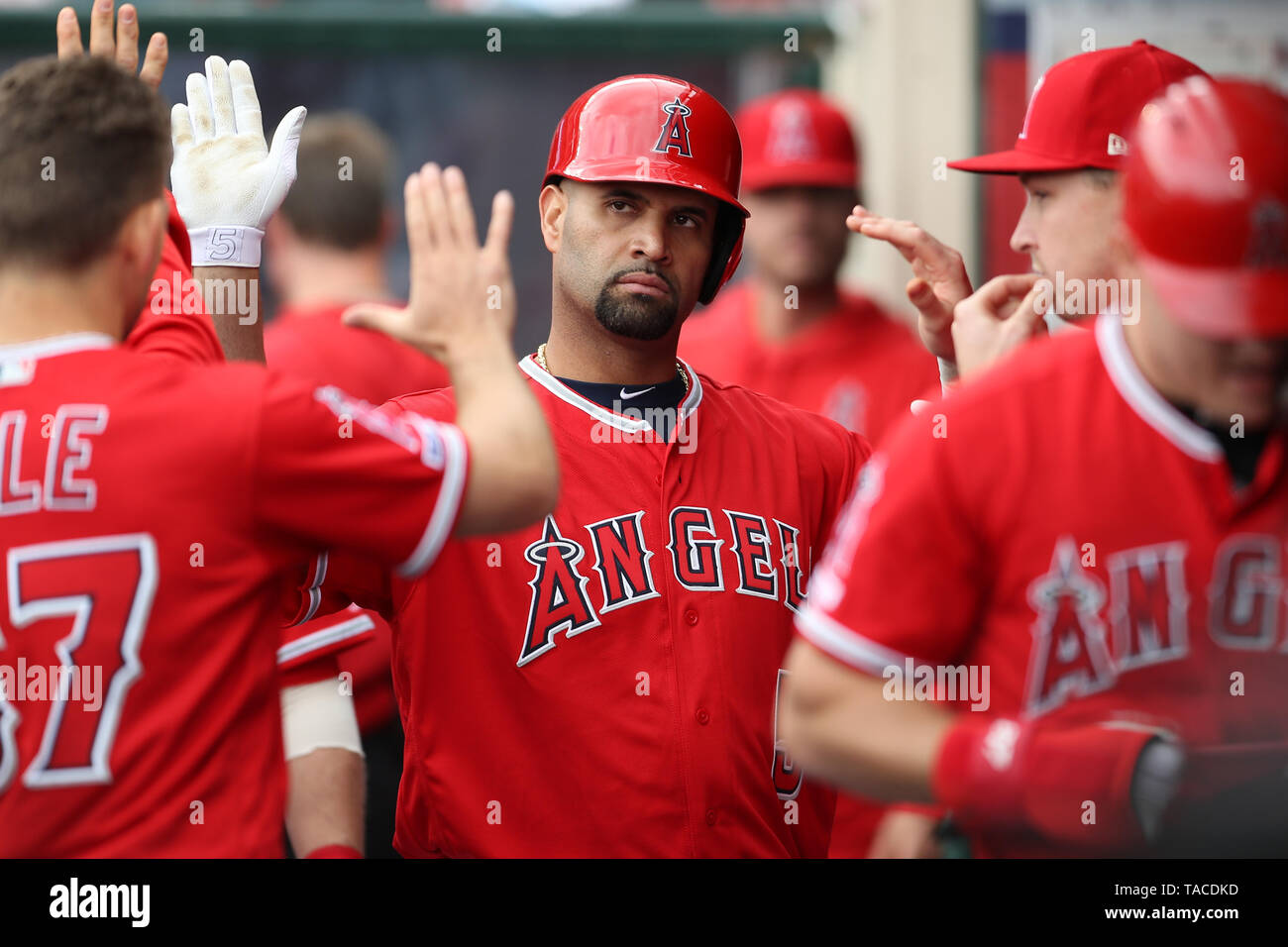 Anaheim, California, USA. Il 23 maggio 2019. Los Angeles Angeli primo baseman Albert Pujols (5) diventa elevata cinque ho la piroga dopo aver colpito un RBI a massa durante il gioco tra il Minnesota Twins e il Los Angeles gli angeli di Anaheim presso Angel Stadium di Anaheim, CA, (foto di Peter Joneleit, Cal Sport Media) Credito: Cal Sport Media/Alamy Live News Foto Stock