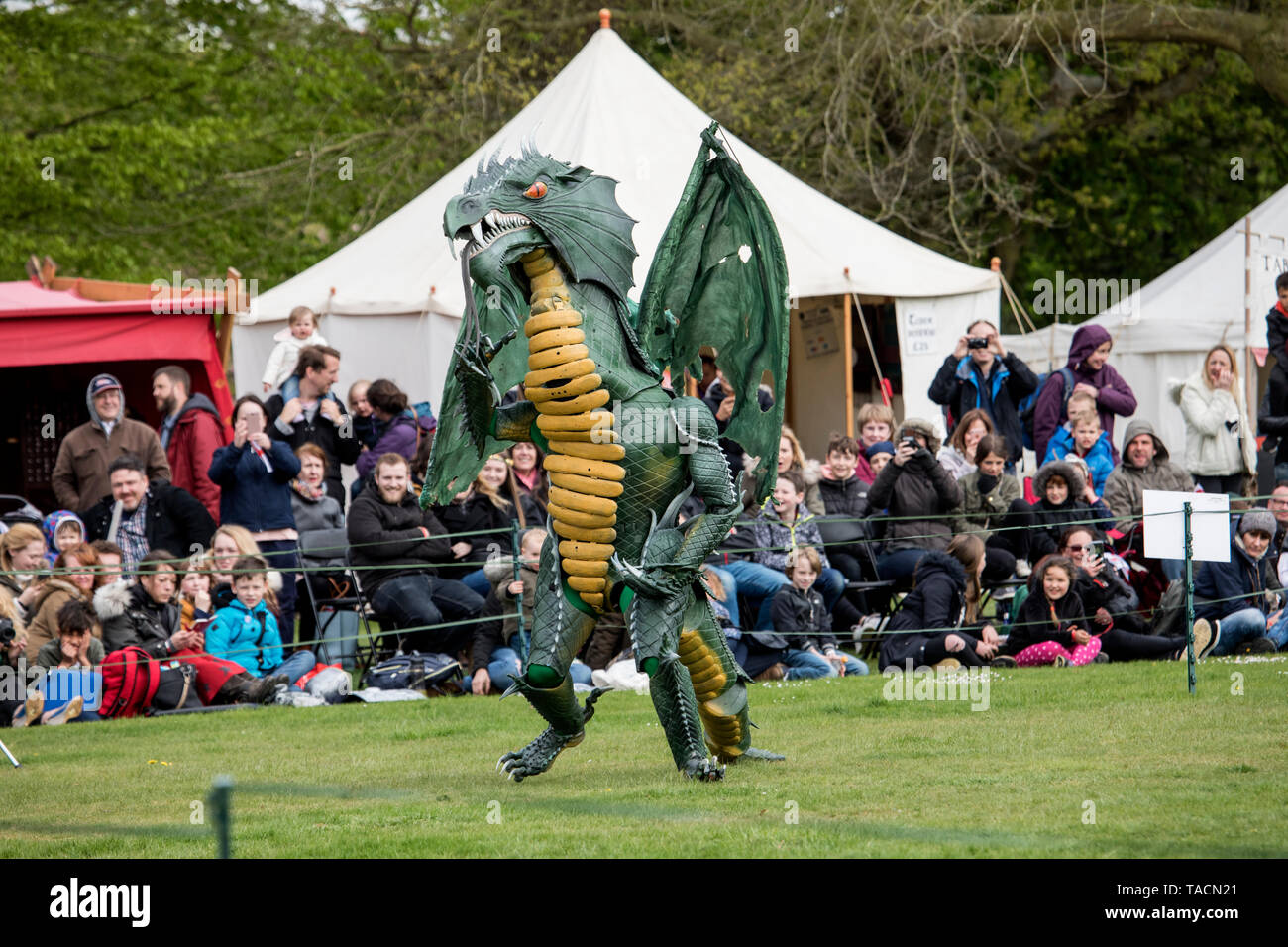 Drago al St George's festival al Wrest Park, Silsoe, Bedfordshire, Inghilterra Foto Stock