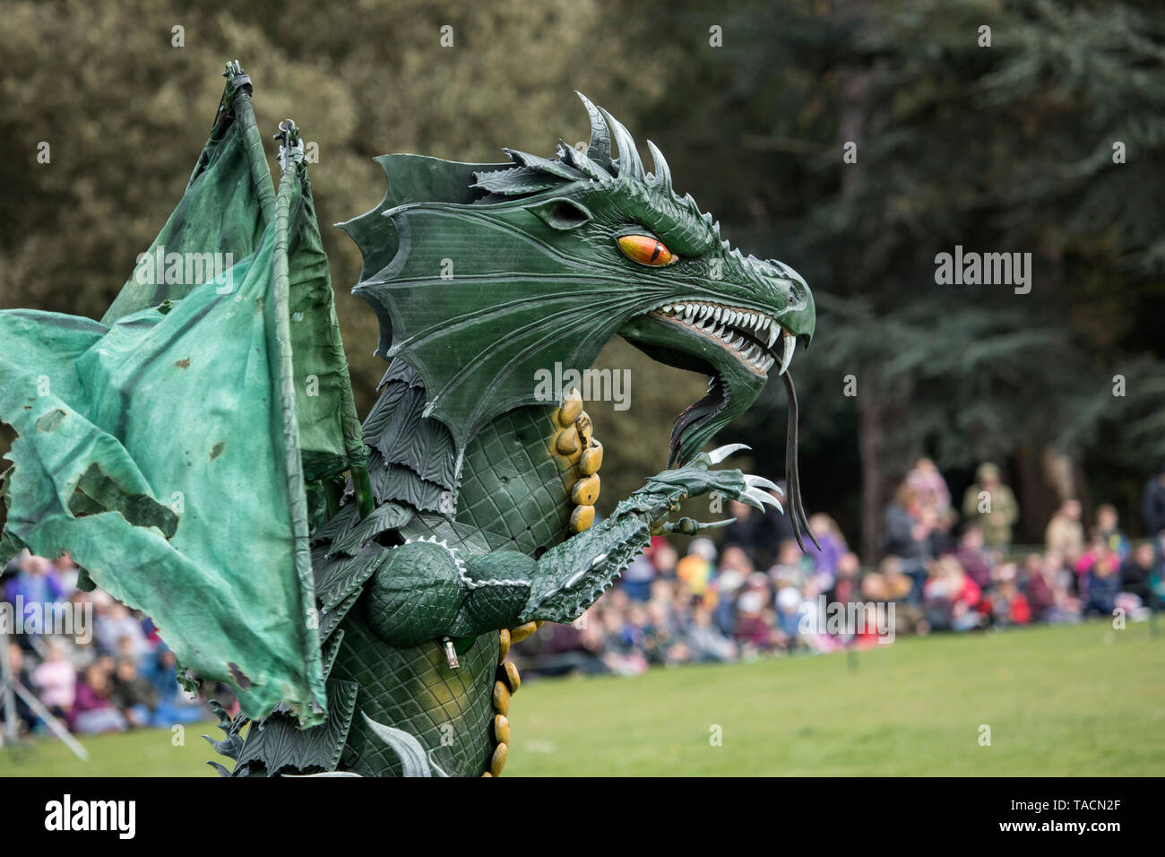 Drago al St George's festival al Wrest Park, Silsoe, Bedfordshire, Inghilterra Foto Stock