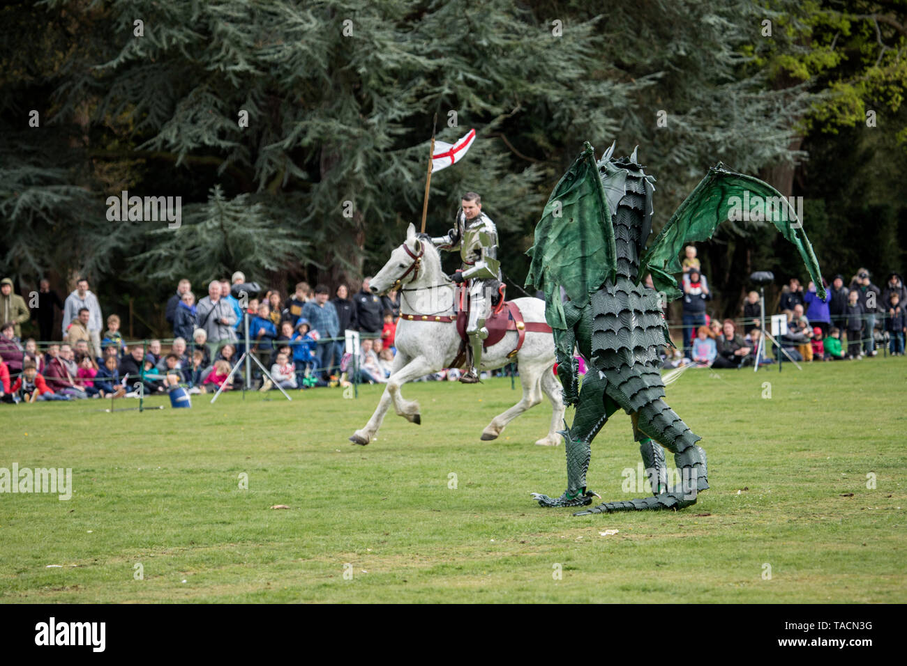 San Giorgio e il Drago al St George's festival al Wrest Park, Silsoe, Bedfordshire, Inghilterra Foto Stock