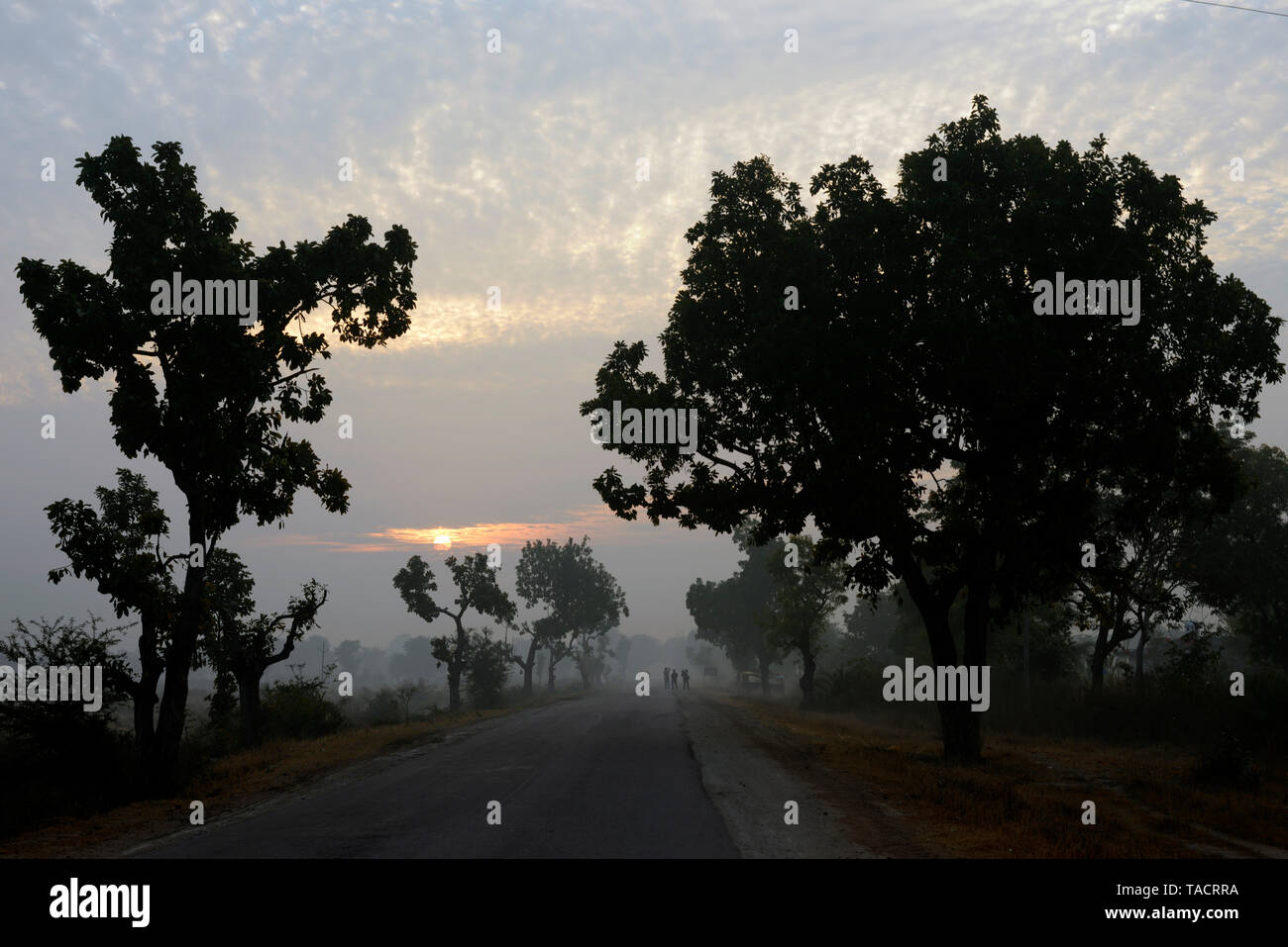 Autostrada tra Khajuraho e Jhansi, Madhya Pradesh, India, Asia Foto Stock