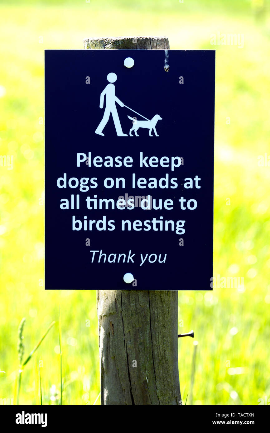 Per favore tiene cani su un conduttore a causa di uccelli nidificanti segno, Warwickshire, Regno Unito Foto Stock