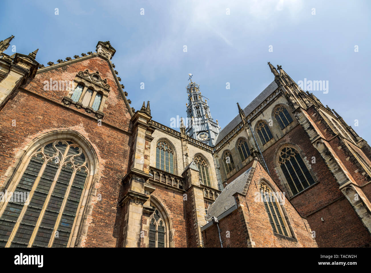 Basso angolo vista del Grote Kerk ( St Bavo Kerk ), una chiesa protestante, sul Grote Markt, Haarlem, Olanda Settentrionale, Paesi Bassi. Foto Stock