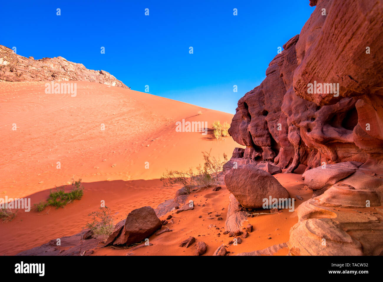 La sabbia rossa al deserto di Wadi Rum, Giordania. Foto Stock