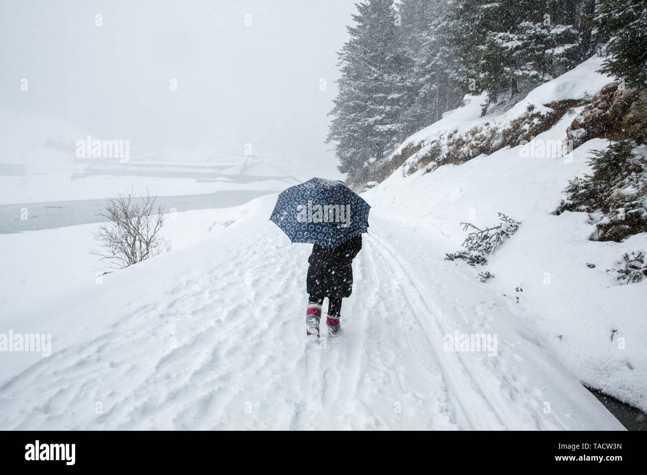 A piedi nella neve in inverno: qualcuno con un ombrello e la caduta della neve intorno al lago di Payolle, Campan Valley, nei Pirenei (sud-ovest della Francia) Foto Stock