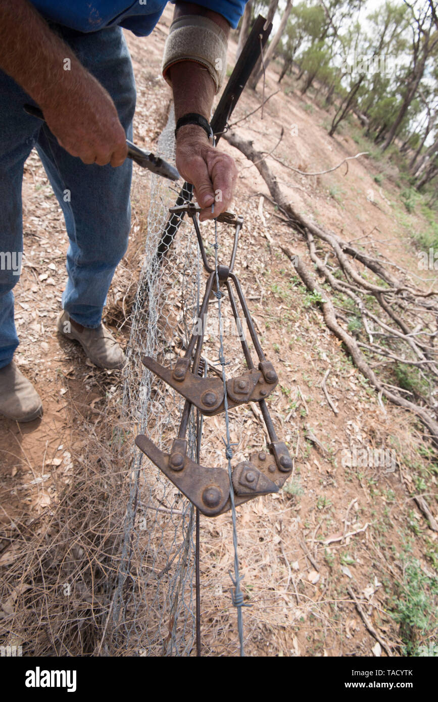 Maggio 2019 Burren Junction, Australia: imprenditore Richard riparazioni Marshall un filo danneggiato recinzione utilizzando la sua annata preferita Donald filtro di filo Foto Stock