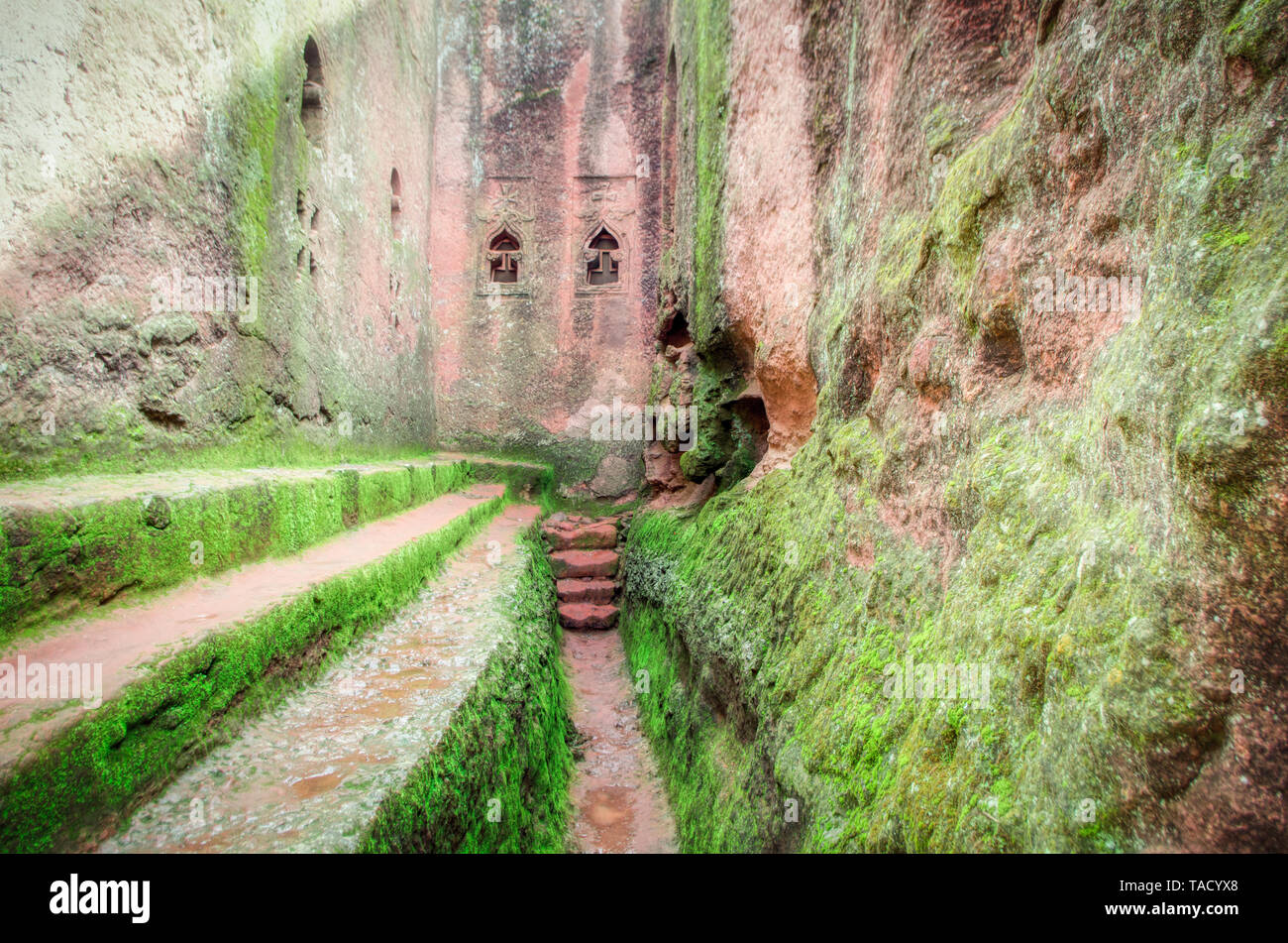 Esterno stretti labirinti di Lalibela in Etiopia scavate nella roccia e coperte da un verde muschio Foto Stock