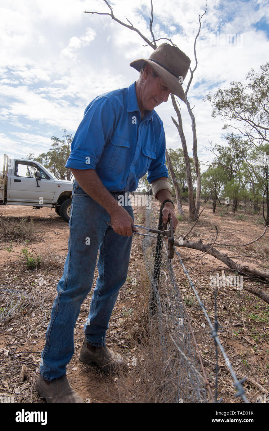 Maggio 2019 Burren Junction, Australia: imprenditore Richard riparazioni Marshall un filo danneggiato recinzione utilizzando la sua annata preferita Donald filtro di filo Foto Stock