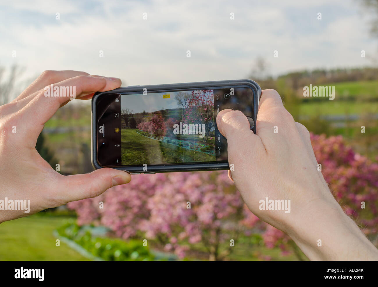 Mani con telefono rendendo la foto del paesaggio nel giardino botanico. Foto Stock