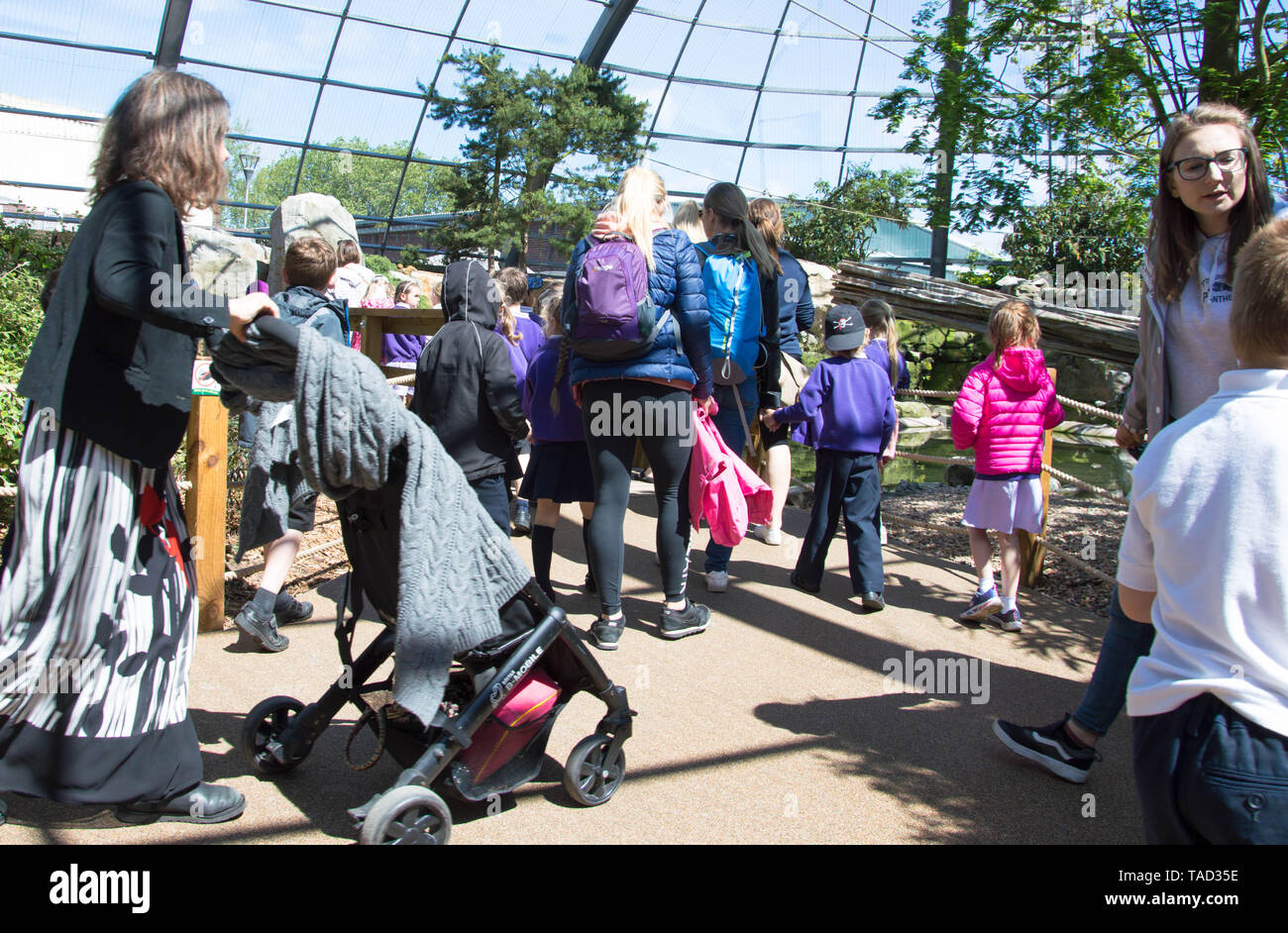 Le persone in visita a Blackpool Zoo in una giornata calda e soleggiata Foto Stock