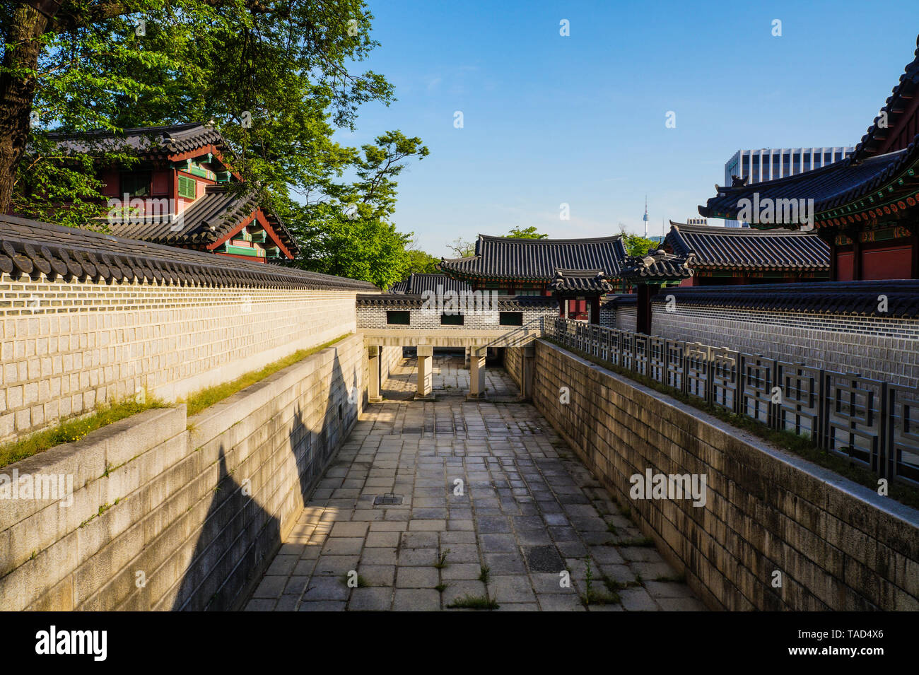 Visita del palazzo di Seul in Corea - Palazzo di Changdeokgung Foto Stock