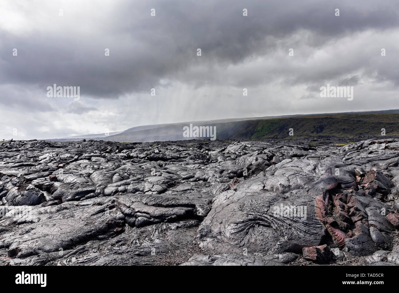 Stati Uniti d'America, Hawaii, Big Island, Parco Nazionale Vulcani, Ka Lae Apuki, campi di lava Foto Stock