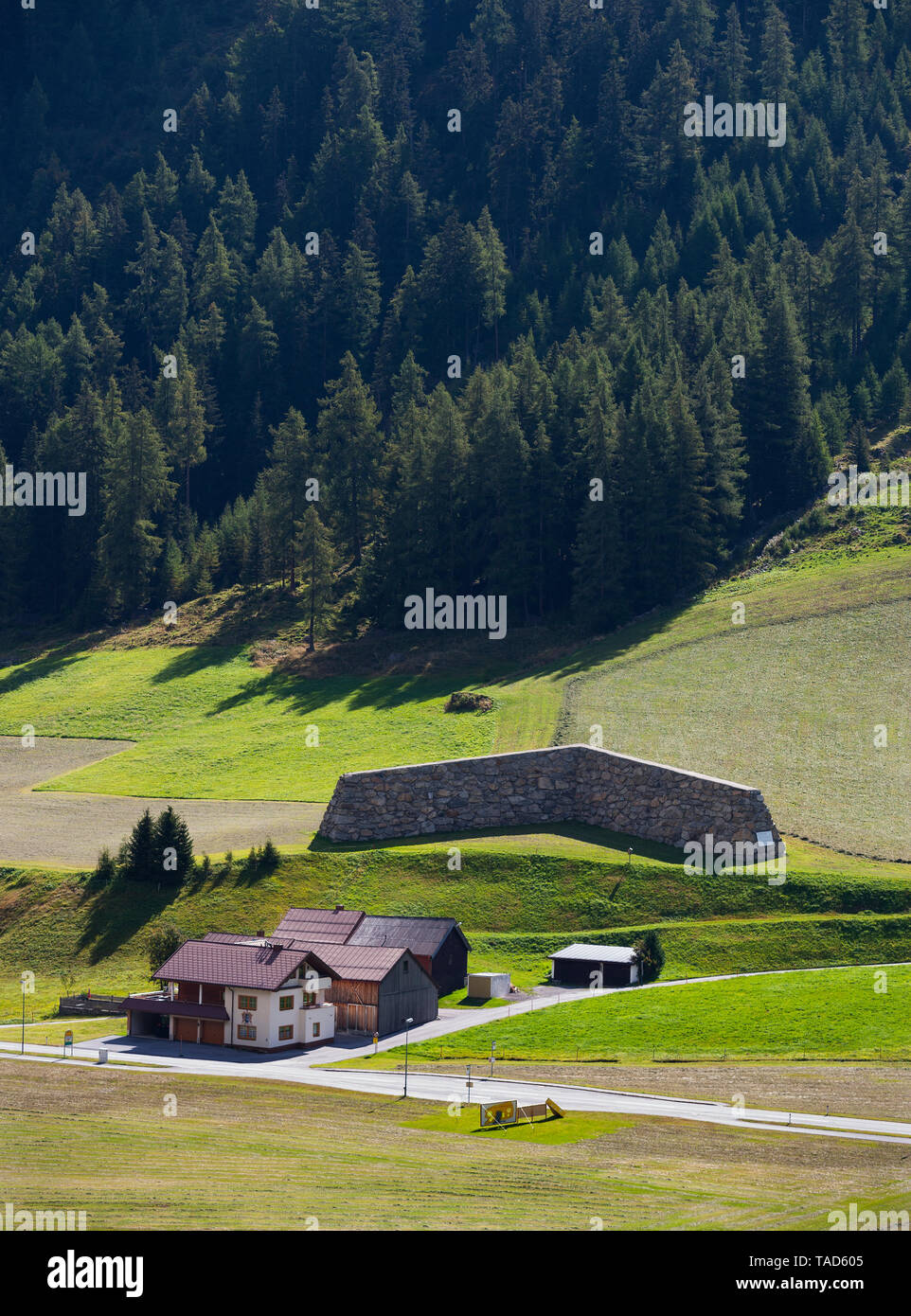 Austria, Tirolo, Paznaun Valley, Galtuer, protezione valanghe Foto Stock