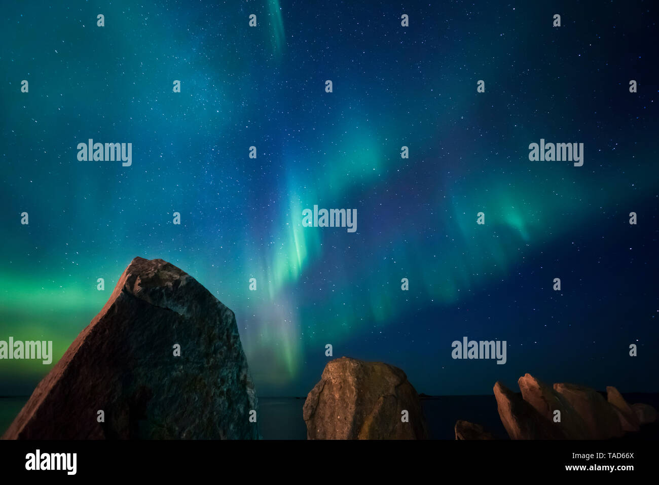 Norvegia Isole Lofoten, Eggum, luci del nord a cielo stellato Foto Stock