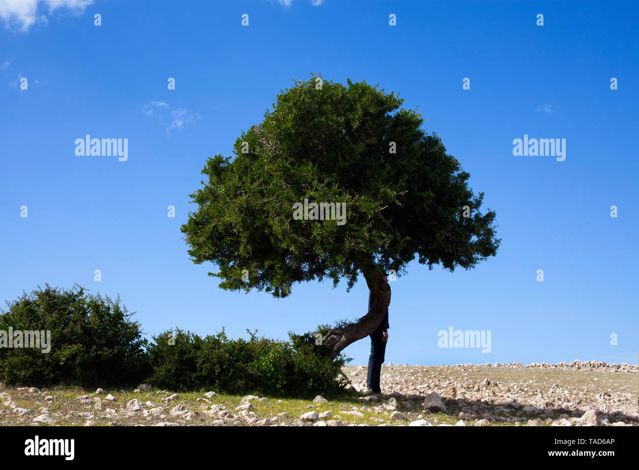 Il Marocco Sidi Kaouki, uomo che indossa un cappello bowler in piedi dietro a un albero Foto Stock