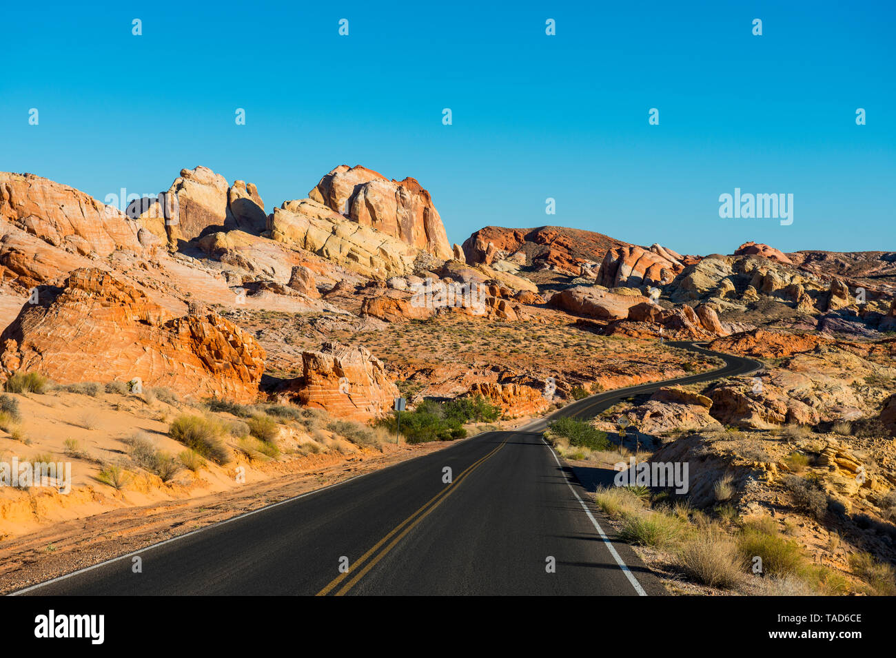 Stati Uniti d'America, Nevada, la Valle del Fuoco del Parco Statale di strada vuota Foto Stock