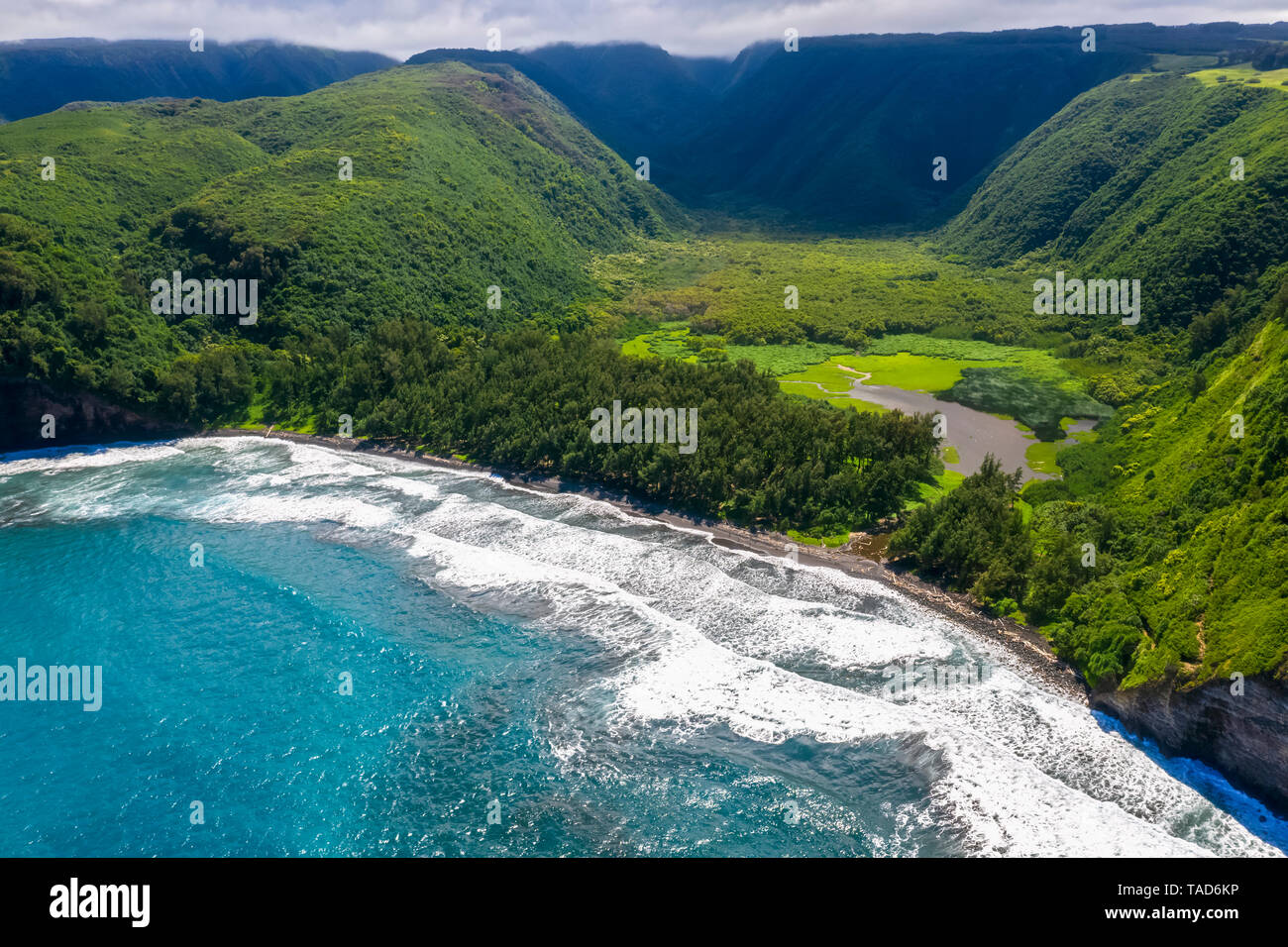 Stati Uniti d'America, Hawaii, Big Island, Oceano Pacifico, Pololu Valley Lookout, Pololu Valley e spiaggia nera, Vista Aerea Foto Stock