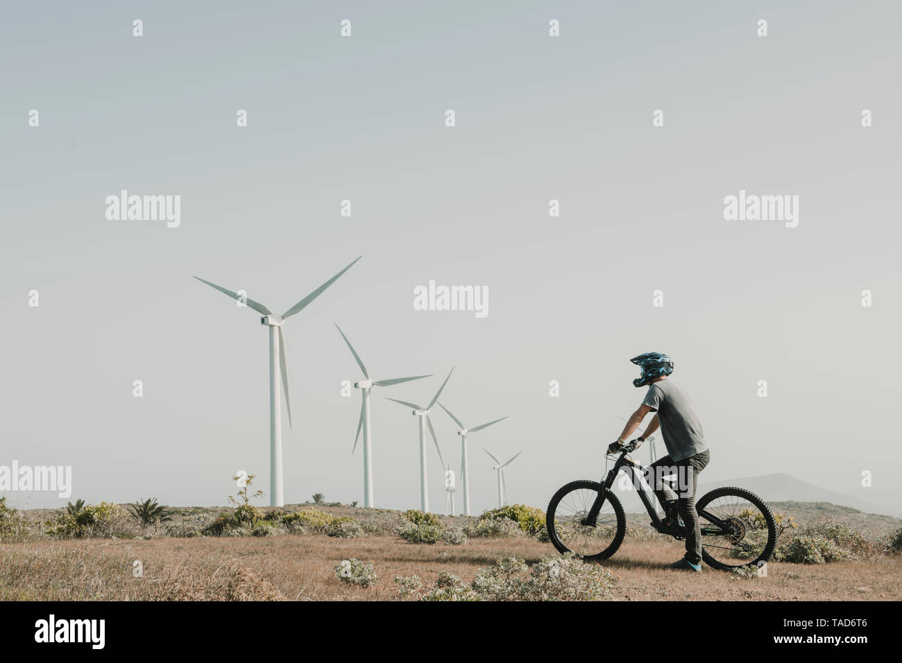 Spagna, Lanzarote, mountainbiker su un viaggio nel paesaggio desertico con turbine eoliche in background Foto Stock