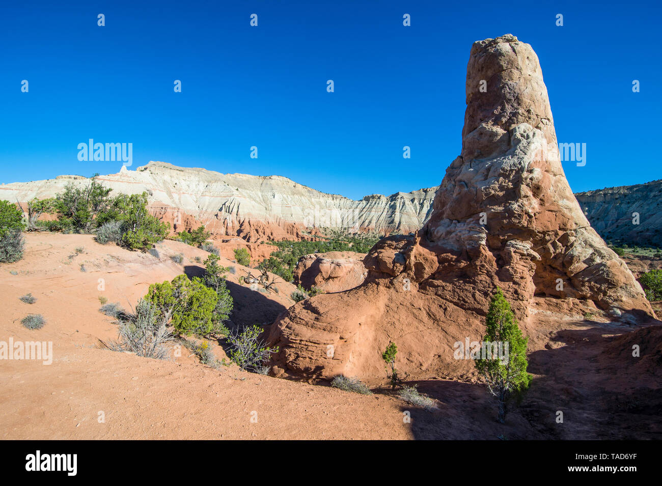 Stati Uniti d'America, Utah, monolito di pietra nel bacino Kodakchrome parco dello stato Foto Stock