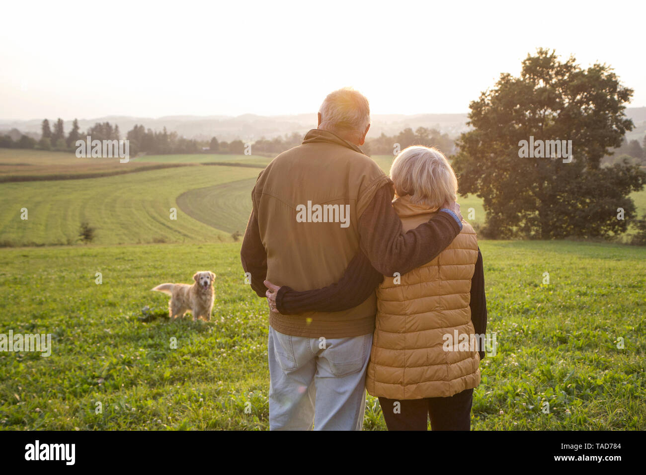 Vista posteriore di felice coppia senior in piedi a braccetto su un prato godersi il tramonto Foto Stock