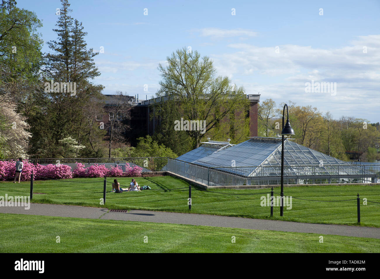 Pomeriggio di primavera a Smith College, con Lyman conservatorio e Sabin-Reed Hall e Burton Hall in background. Foto Stock