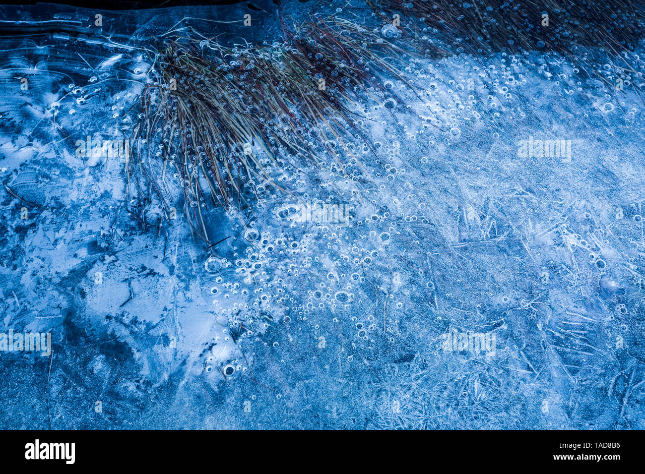 Norvegia Isole Lofoten, acqua congelata Foto Stock