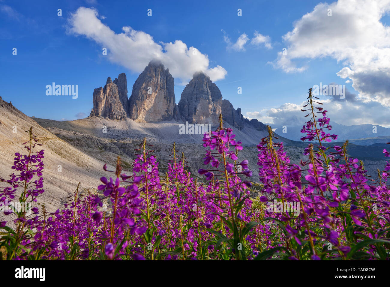 L'Italia, Dolomiti di Sesto, le Tre Cime di Lavaredo, parco naturale Tre Cime, patrimonio mondiale Unesco sito naturale Foto Stock