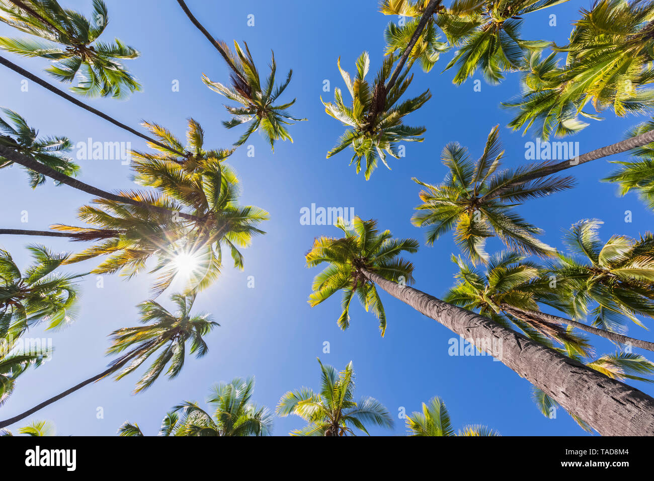 Stati Uniti d'America, Hawaii, Big Island, Pu'uhonua o Honaunau National Park Foto Stock