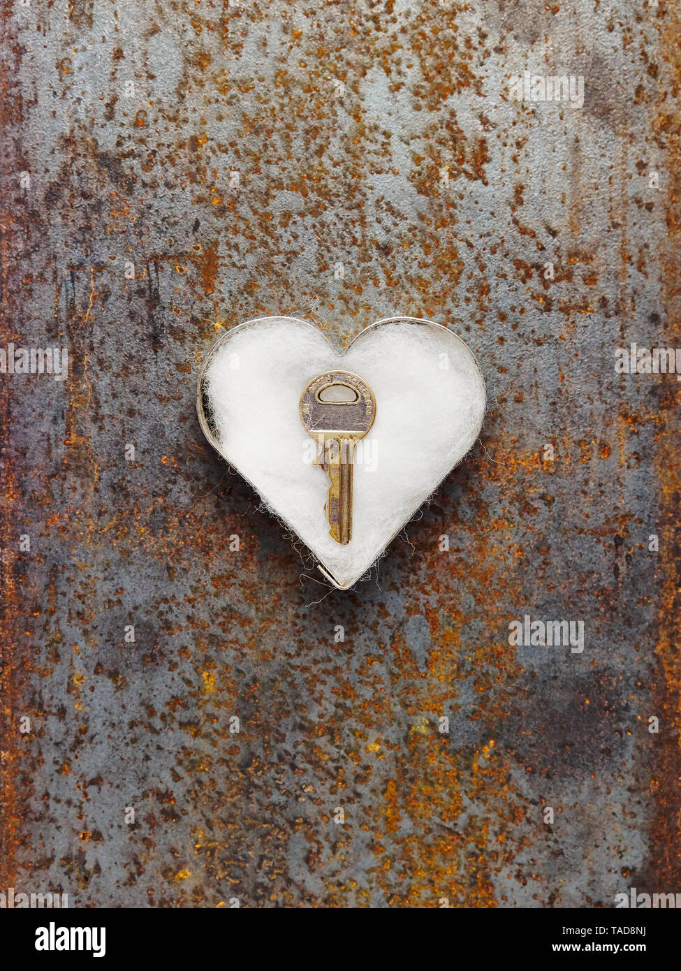 Il tasto collocato in cookie cutter riempita con lana di cotone Foto Stock