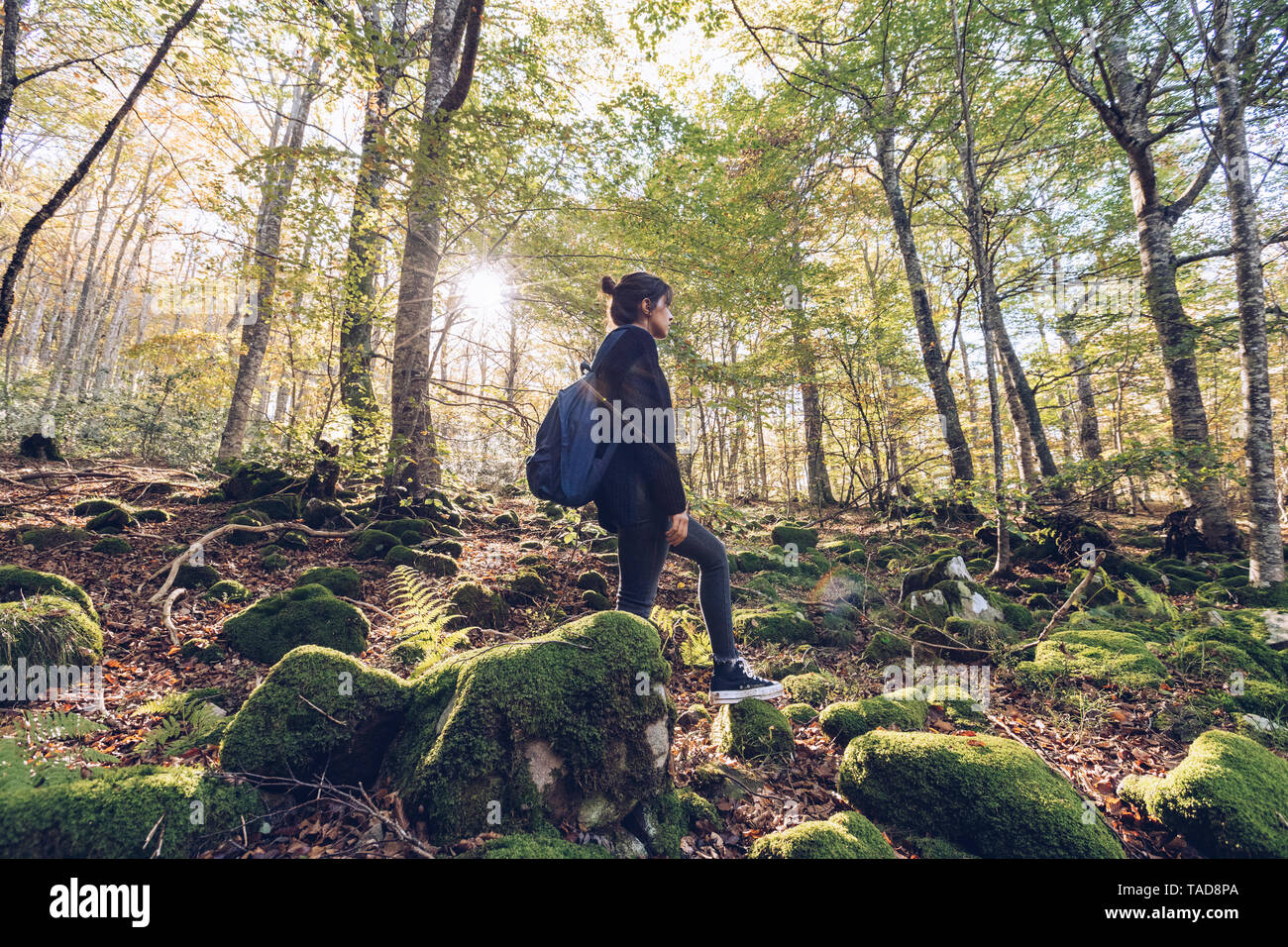 Spagna, Navarra, foresta di Irati, giovane donna in piedi nella lussureggiante foresta Foto Stock