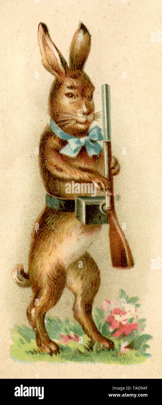 Coniglietto di pasqua come soldato presenta il fucile, motivo da una cartolina di Pasqua 1900 , (, ) Foto Stock