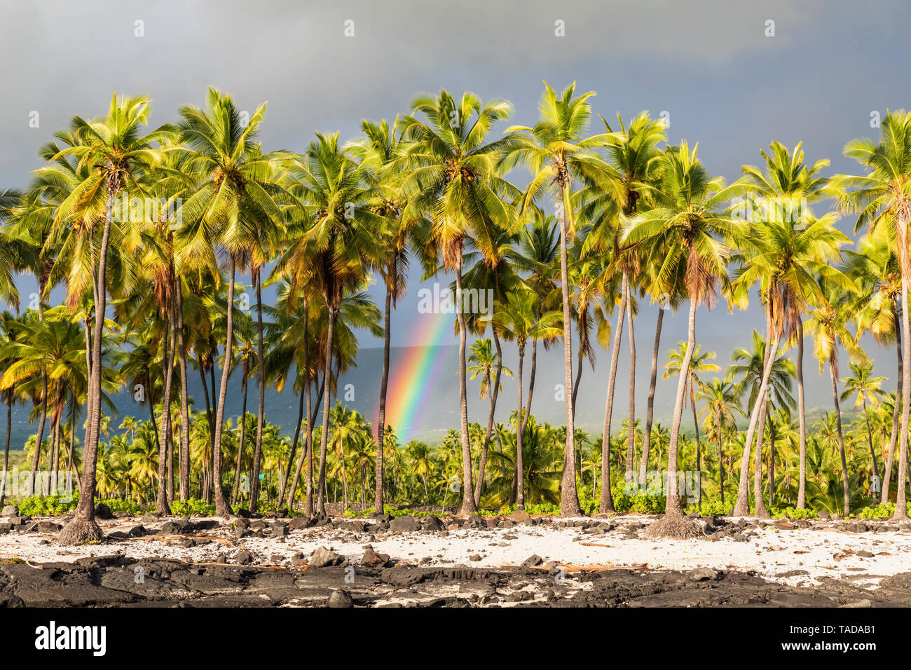 Stati Uniti d'America, Hawaii, Big Island, Pu'uhonua o Honaunau National Park Foto Stock