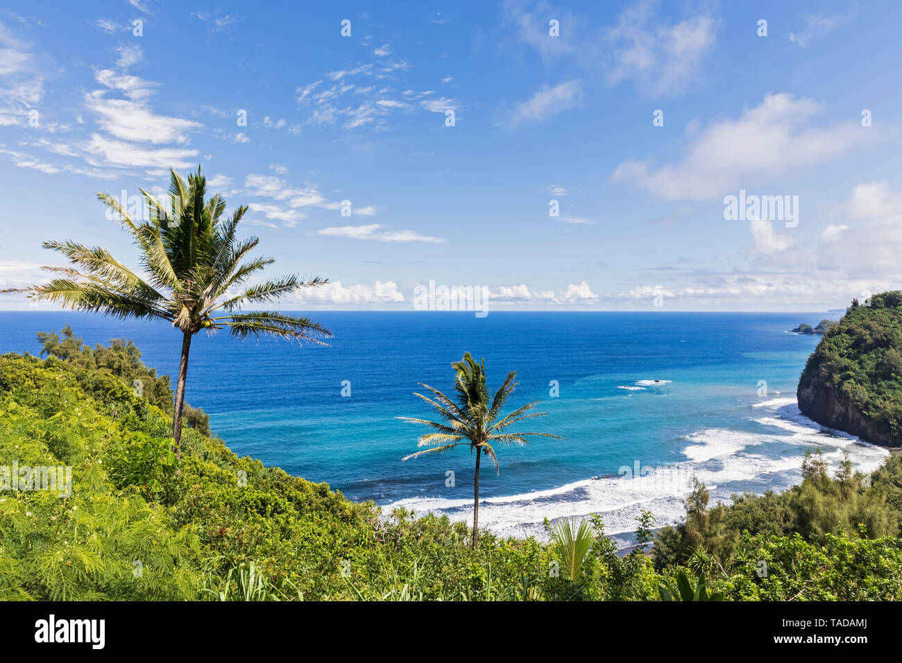 Stati Uniti d'America, Hawaii, Big Island, Oceano Pacifico, Pololu Valley Lookout Foto Stock