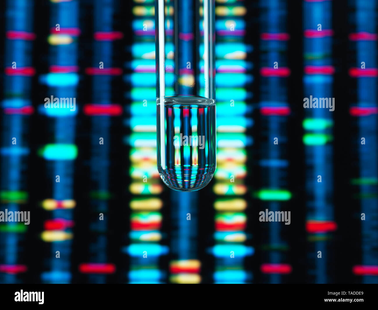 La ricerca genetica, il profilo del DNA si riflette in una provetta contenente un campione Foto Stock