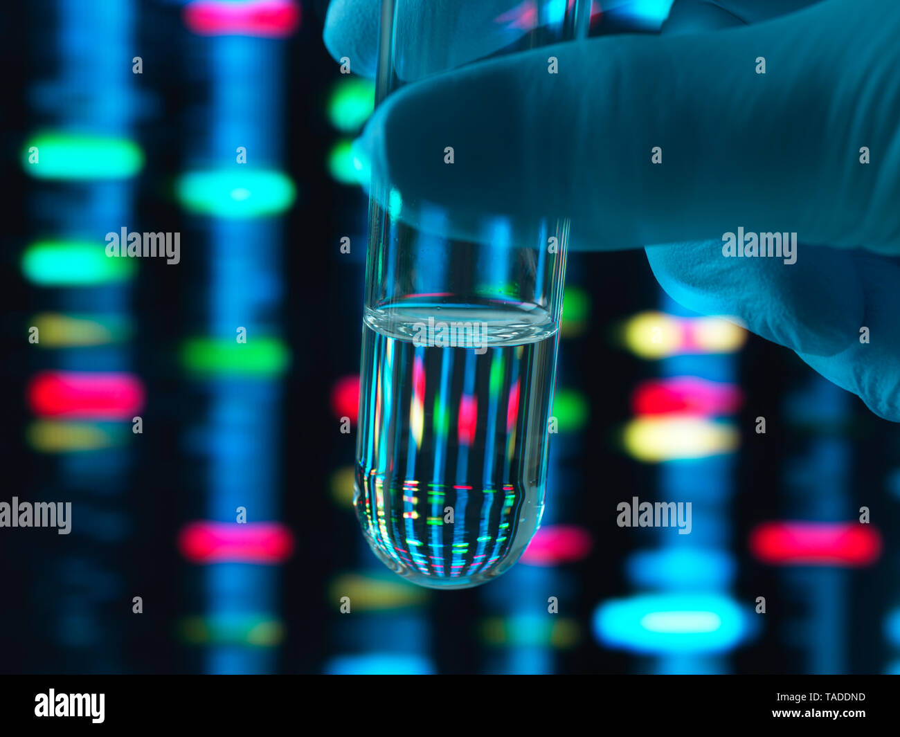 La ricerca genetica, il profilo del DNA si riflette in una provetta contenente un campione Foto Stock