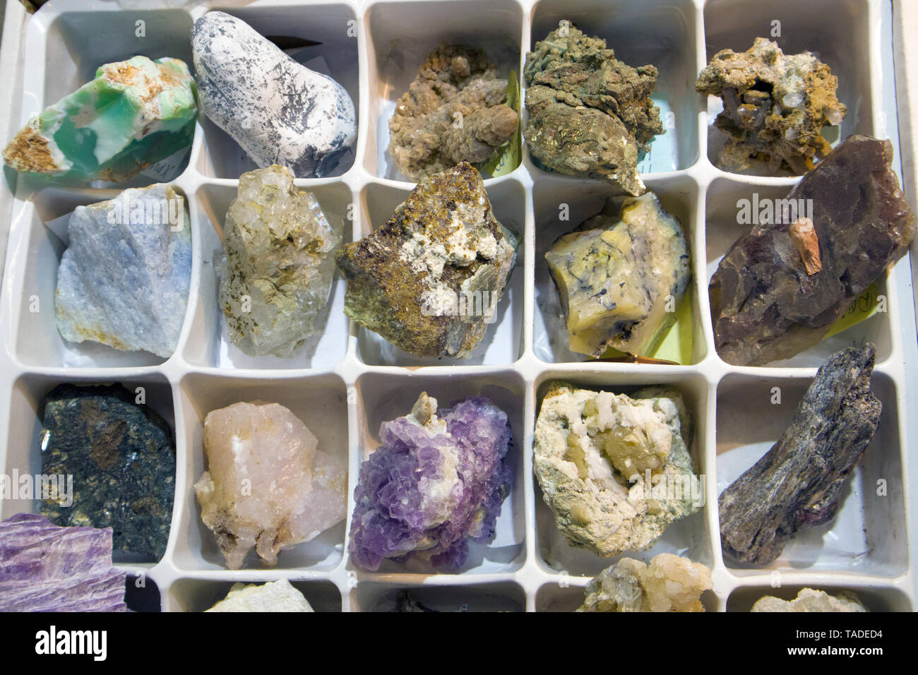 Frammenti di greggio di diverse pietre preziose e semipreziose e gemme disposte in appositi box Foto Stock